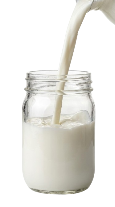 Đổ